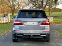 MERCEDES-BENZ M CLASS