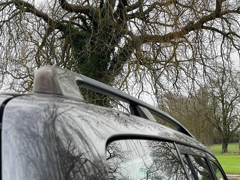 TOYOTA LAND CRUISER AMAZON